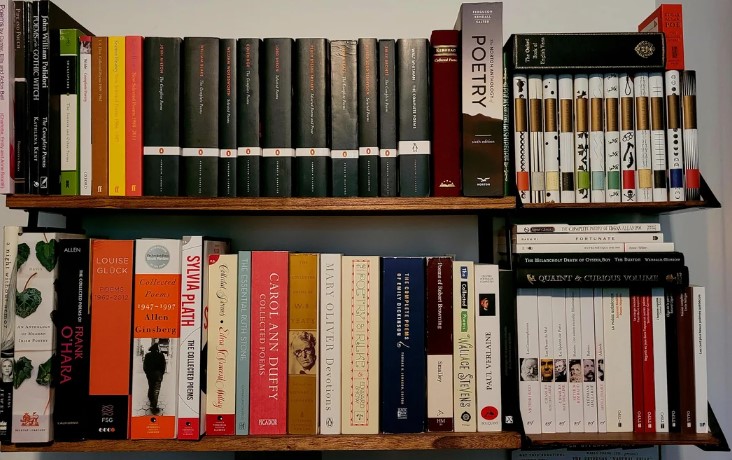 Shelves of Poetry Books