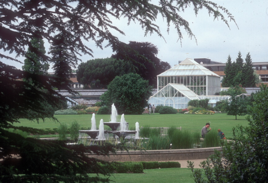 Glass house and fountain in large garden area