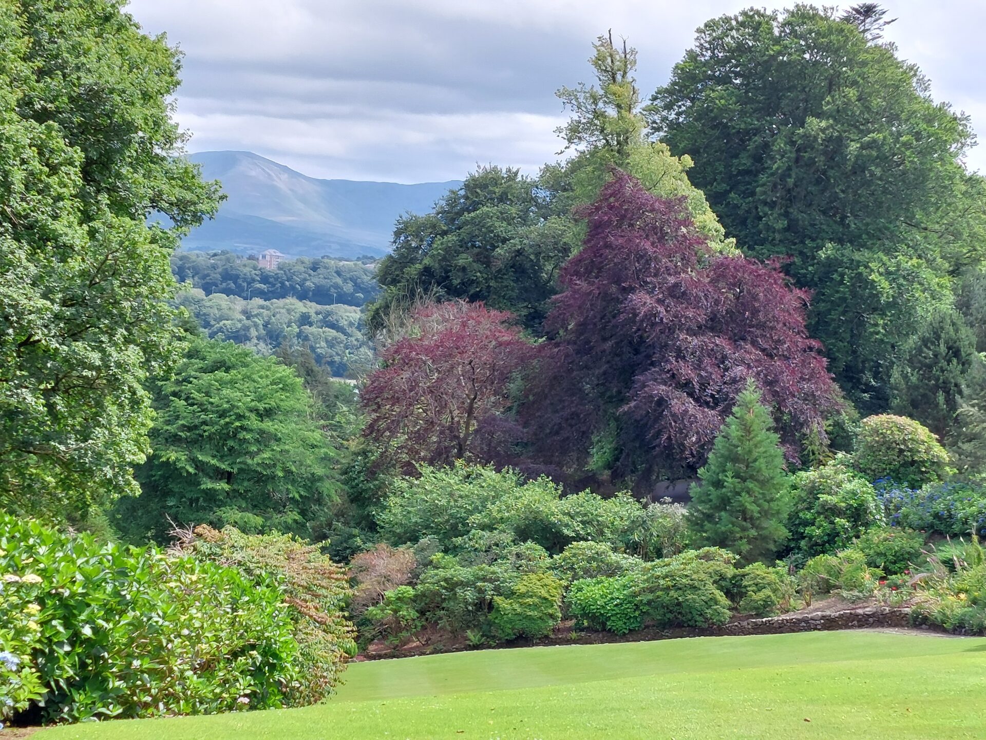 Plas Cadnant Garden