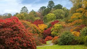 The Garden House in Autumn